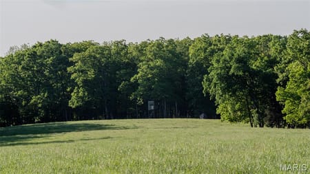 New Bloomfield, MO 65063 Callaway County