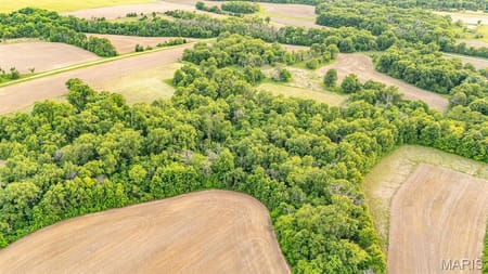 Mexico, MO 65265 Audrain County