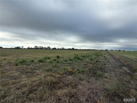 Hayti, MO 63851 Pemiscot County