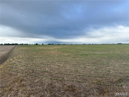 Hayti, MO 63851 Pemiscot County