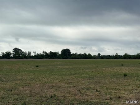 Hayti, MO 63851 Pemiscot County