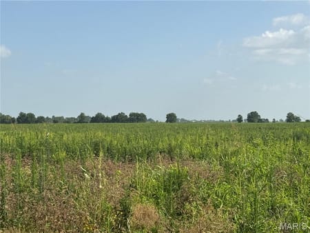 Hayti, MO 63851 Pemiscot County
