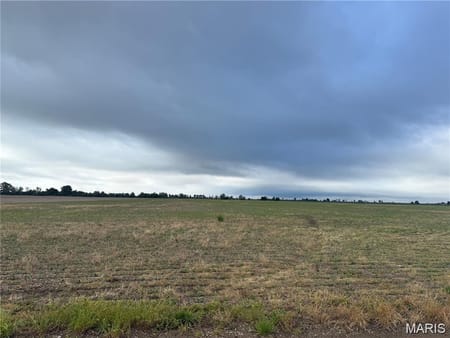 Hayti, MO 63851 Pemiscot County