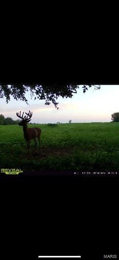 Bellflower, MO 63333 Montgomery County