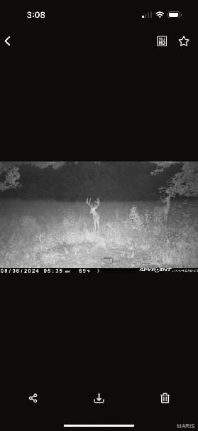 Bellflower, MO 63333 Montgomery County