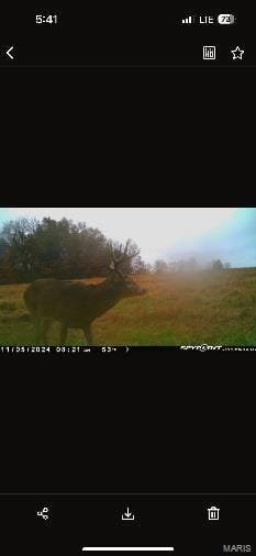 Bellflower, MO 63333 Montgomery County