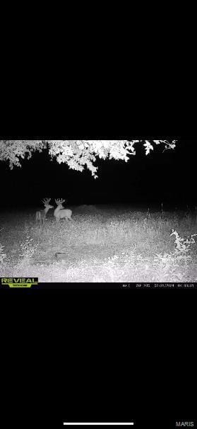 Bellflower, MO 63333 Montgomery County