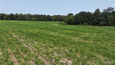 New Florence, MO 63363 Montgomery County