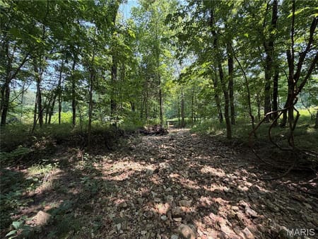 New Florence, MO 63363 Montgomery County