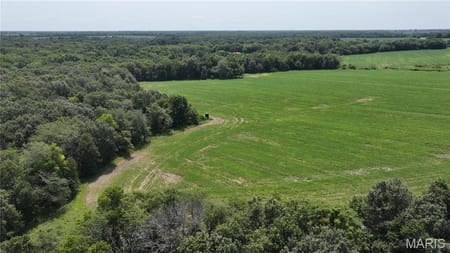 New Florence, MO 63363 Montgomery County