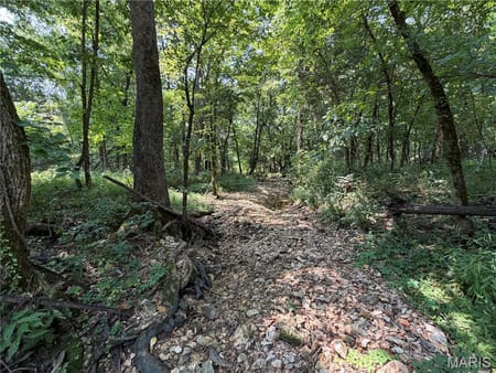 New Florence, MO 63363 Montgomery County