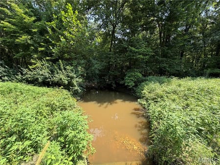 New Florence, MO 63363 Montgomery County