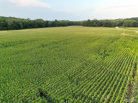 Elsberry, MO 63343 Lincoln County