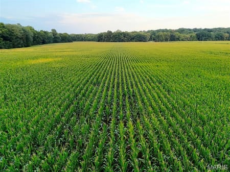 Elsberry, MO 63343 Lincoln County