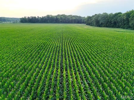 Elsberry, MO 63343 Lincoln County