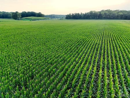 Elsberry, MO 63343 Lincoln County