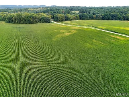 Elsberry, MO 63343 Lincoln County