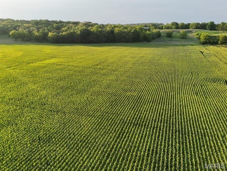 Elsberry, MO 63343 Lincoln County
