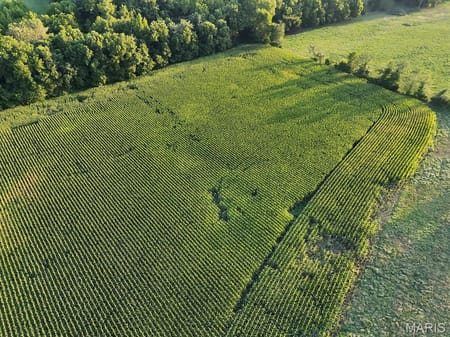Elsberry, MO 63343 Lincoln County