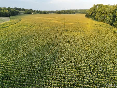 Elsberry, MO 63343 Lincoln County