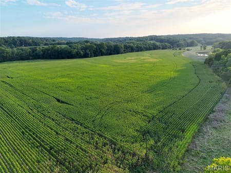 Elsberry, MO 63343 Lincoln County