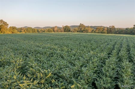 Elsberry, MO 63343 Lincoln County