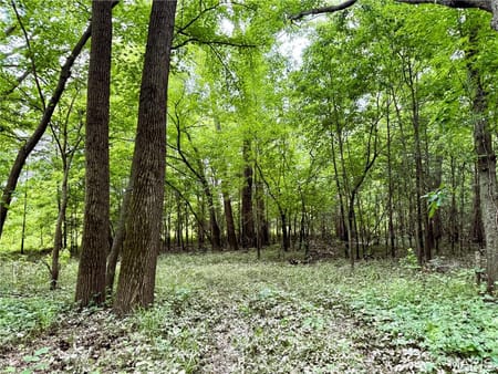 Unincorporated, MO 64688 Livingston County