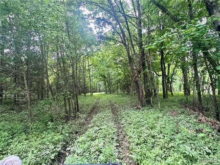 Unincorporated, MO 64688 Livingston County