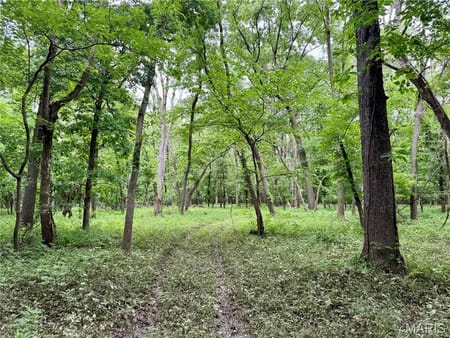 Unincorporated, MO 64688 Livingston County