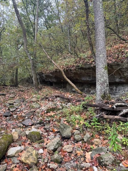 Unincorporated, MO 65069 Callaway County