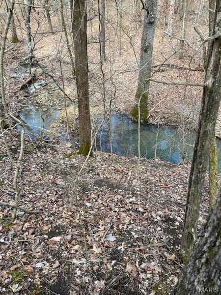 Unincorporated, MO 65069 Callaway County