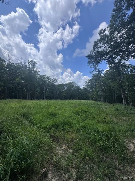 Unincorporated, MO 65069 Callaway County
