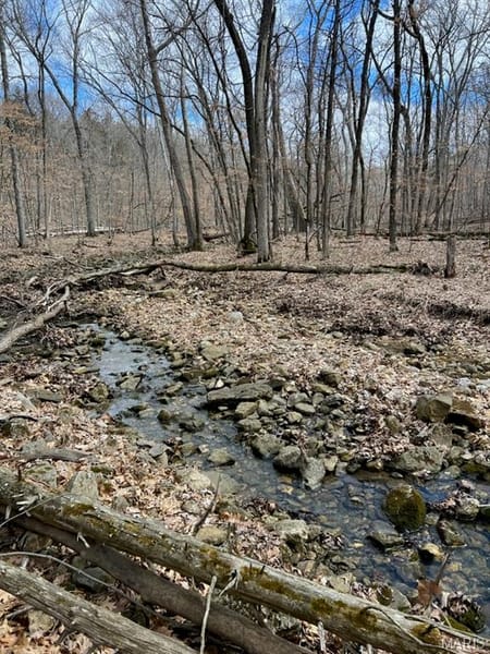 Unincorporated, MO 65069 Callaway County