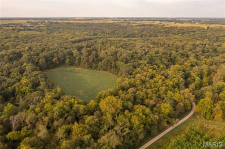 Bellflower, MO 63333 Montgomery County