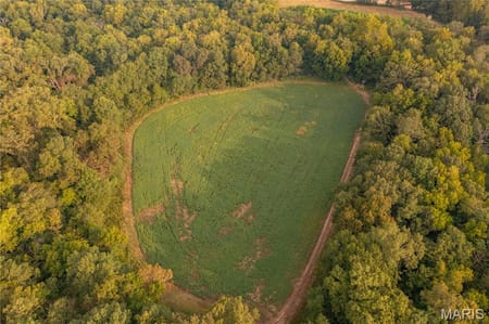 Bellflower, MO 63333 Montgomery County