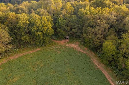 Bellflower, MO 63333 Montgomery County
