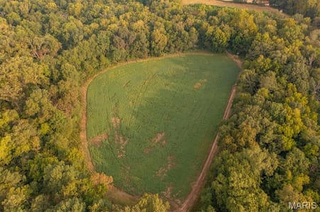 Bellflower, MO 63333 Montgomery County