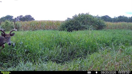 Callao, MO 63534 Macon County