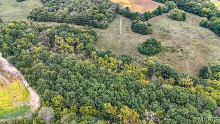 New London, MO 63459 Ralls County