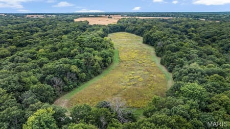 Center, MO 63436 Ralls County
