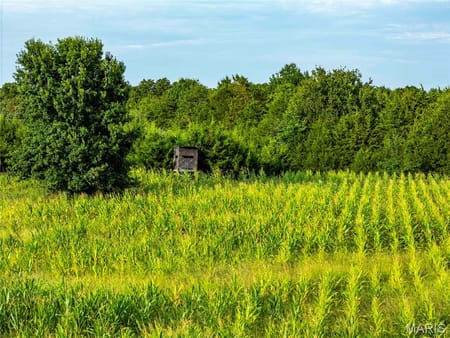Paris, MO 65275 Monroe County