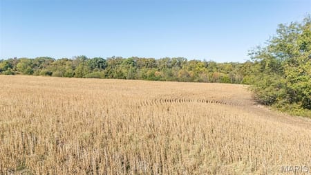 New London, MO 63459 Ralls County