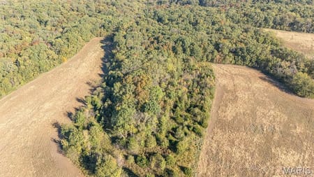 New London, MO 63459 Ralls County