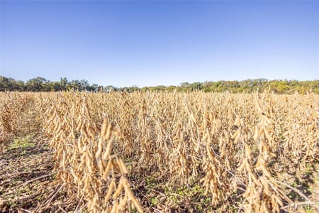 New London, MO 63459 Ralls County