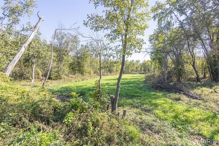 Madison, MO 65263 Monroe County