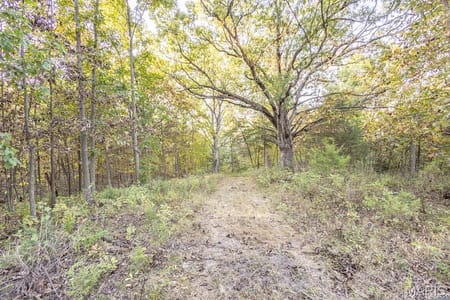 Mexico, MO 65265 Audrain County