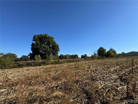 New Florence, MO 63363 Montgomery County