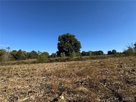 New Florence, MO 63363 Montgomery County