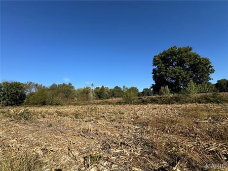 New Florence, MO 63363 Montgomery County