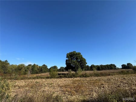 New Florence, MO 63363 Montgomery County